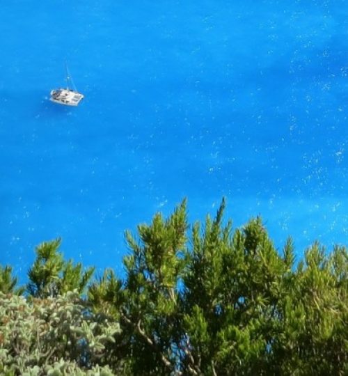 cropped-sea-418742_1920.jpg